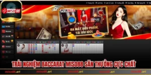 Baccarat Miso88