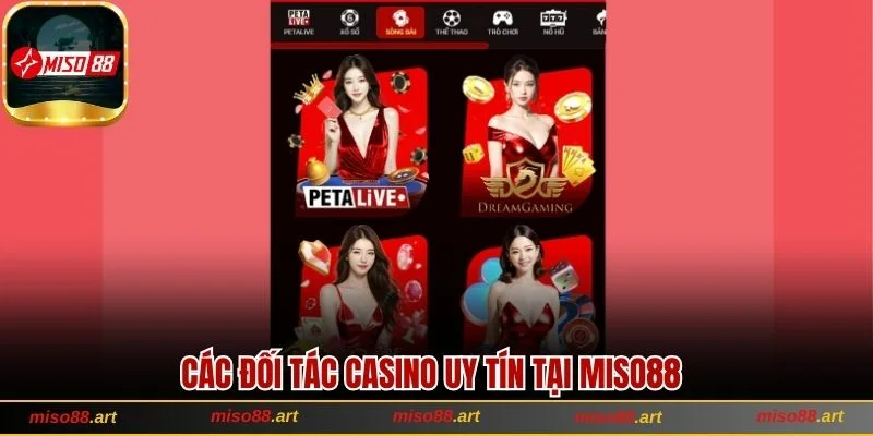 Các đối tác Casino uy tín tại Miso88