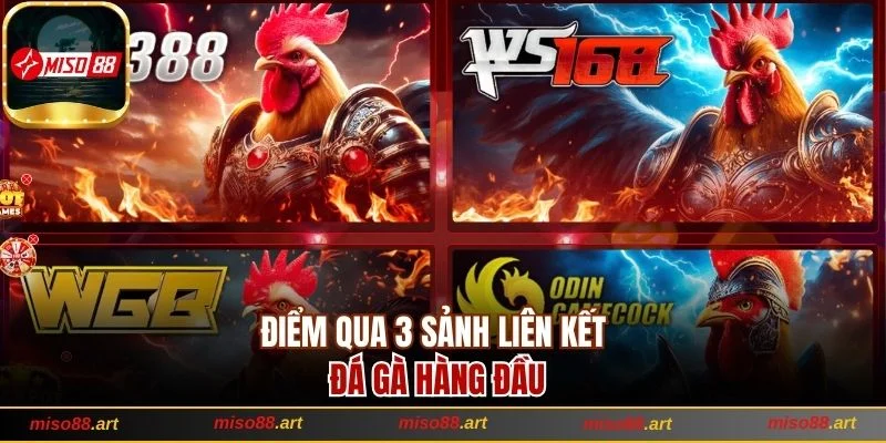 Điểm qua 3 sảnh liên kết đá gà hàng đầu