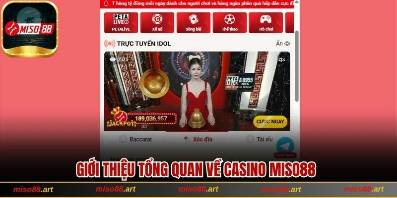 Giới thiệu tổng quan về Casino Miso88