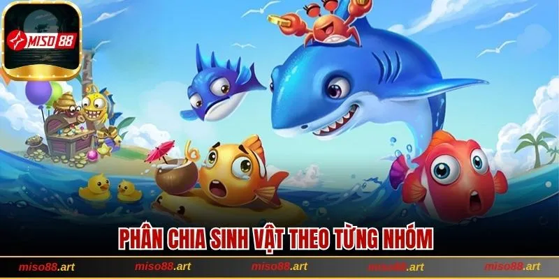 Khám Phá Bắn Cá H5 Với Cách Chơi Siêu Hot Tại Miso88 2 Phân chia sinh vật theo từng nhóm riêng biệt